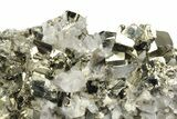 Gleaming, Cubic Pyrite Crystals with Quartz Crystals - Peru #231570-2
